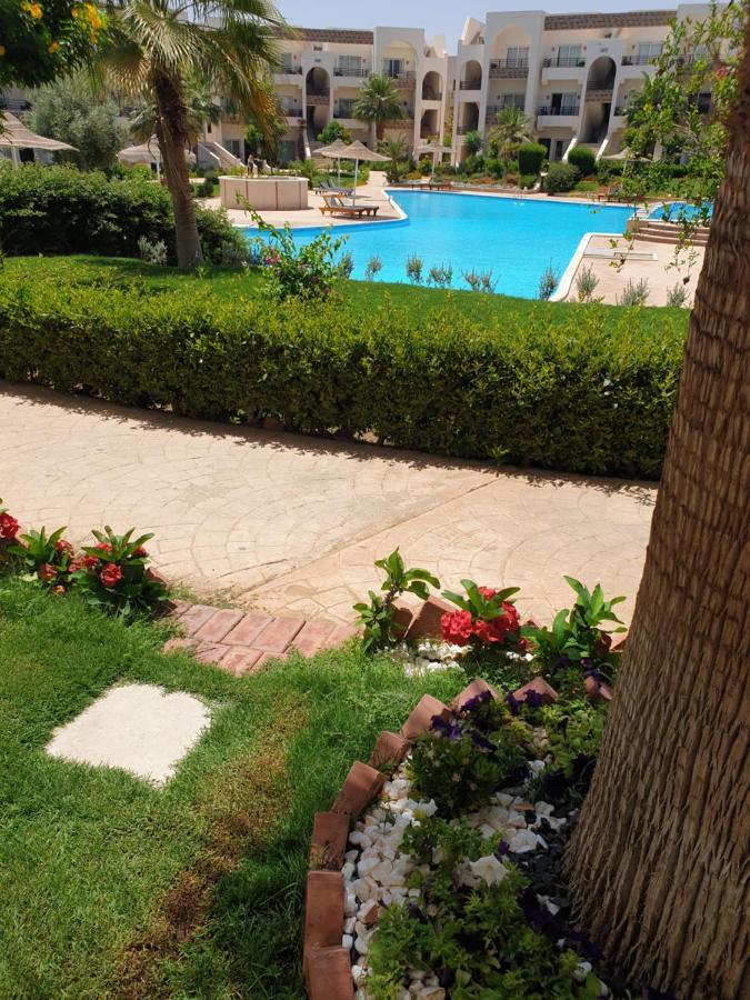 Mystic Collection Of Luxury Apartments Charm el-Cheikh Extérieur photo