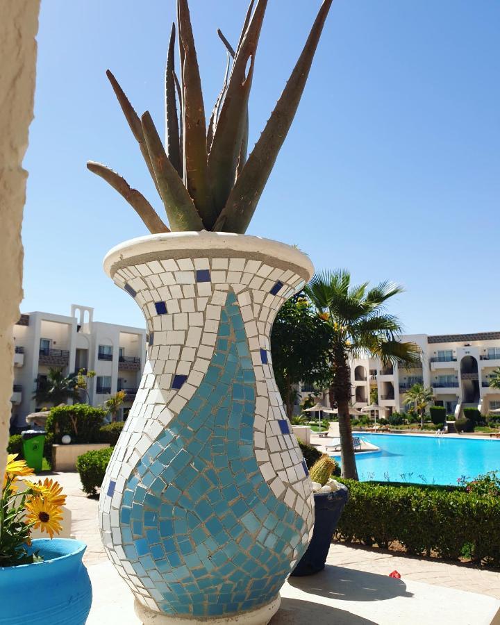Mystic Collection Of Luxury Apartments Charm el-Cheikh Extérieur photo