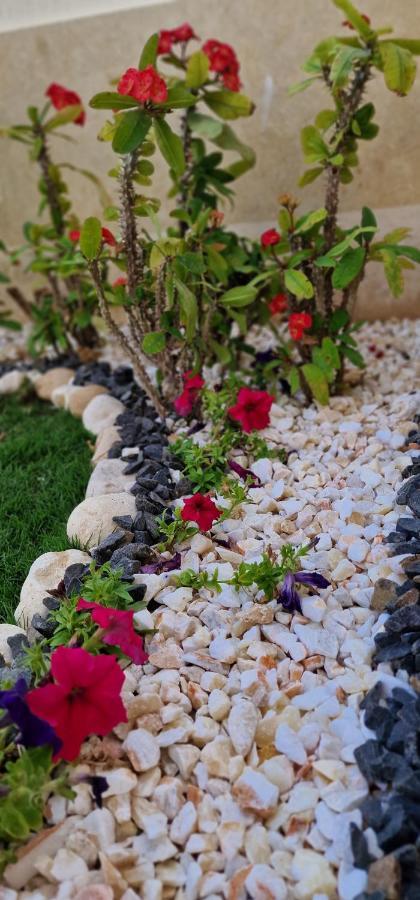 Mystic Collection Of Luxury Apartments Charm el-Cheikh Extérieur photo